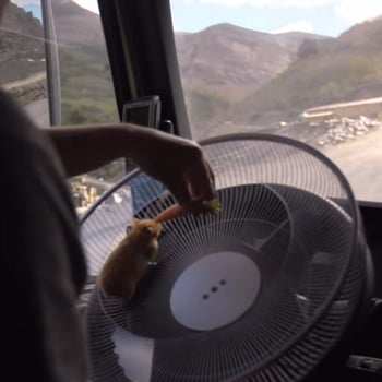Volvo Trucks take the smoothness of their leads' journeys seriously in this Video Worth Sharing.